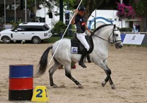 Imagem do post: ExpoCavalos 2012 e FeiraTur: eventos que prometem fomentar o ramo equestre