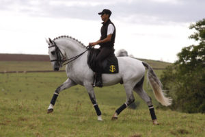 Imagem do post: Você sabe o que é Horsemanship?