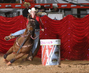 Imagem do post: Atleta recebe proposta de R$ 500 mil pelo cavalo