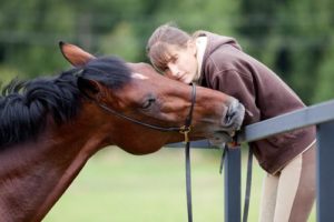 Imagem do post: Cavalos reconhecem vozes?