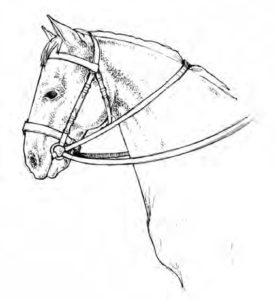 Como desenhar um Cavalo Manga Larga Machador 