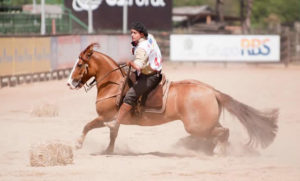 Imagem do post: Expointer 2013 e a final do Freio de Ouro