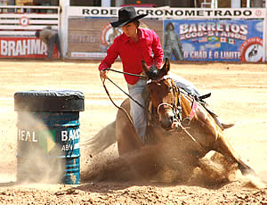 Imagem do post: Vai comprar um cavalo de tambor? Confira algumas dicas